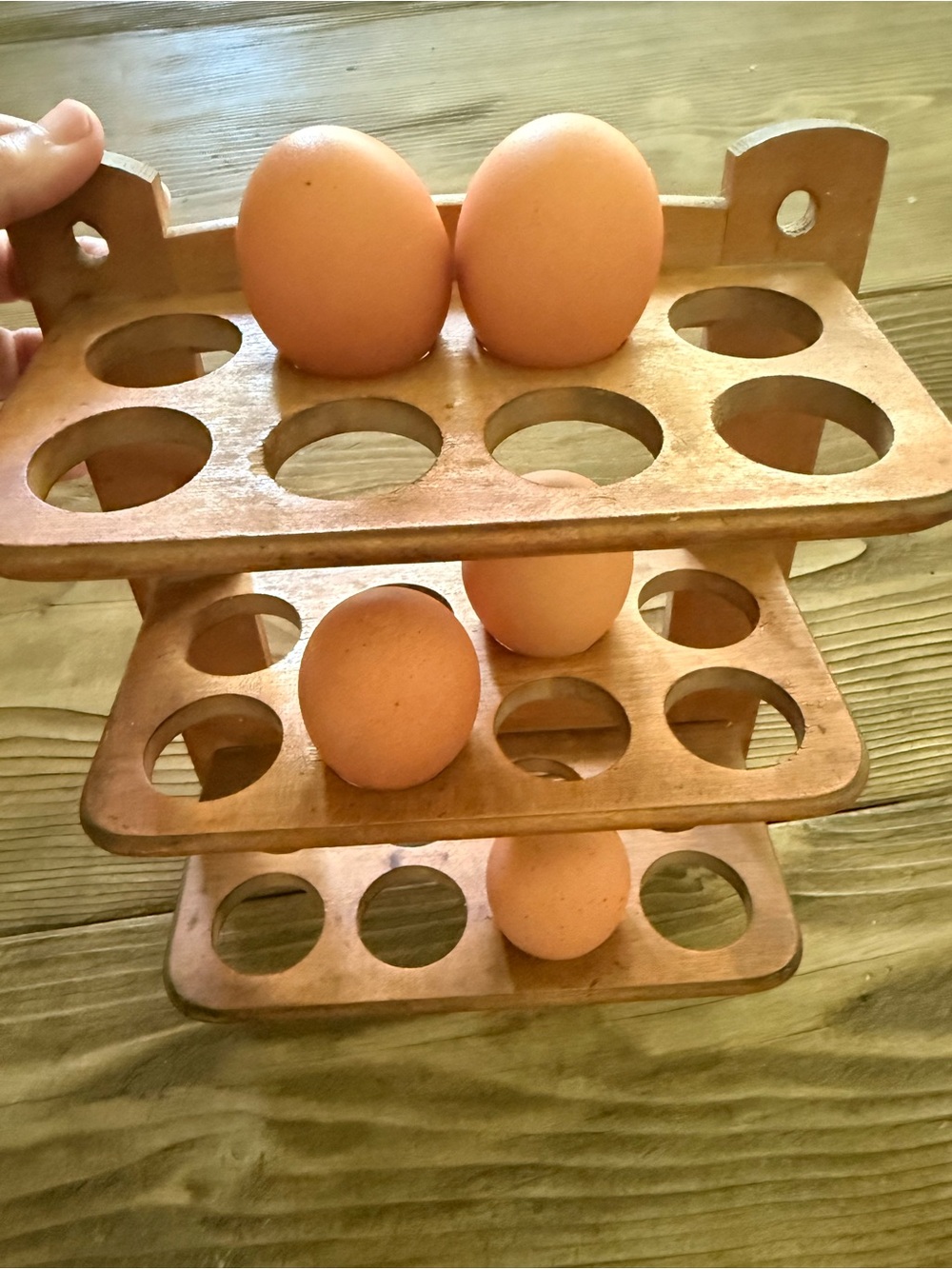 Vintage Wooden Hanging Egg Rack